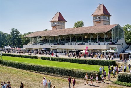 2024-09-08  SCHEIBENHOLZ_SAM0176.jpg