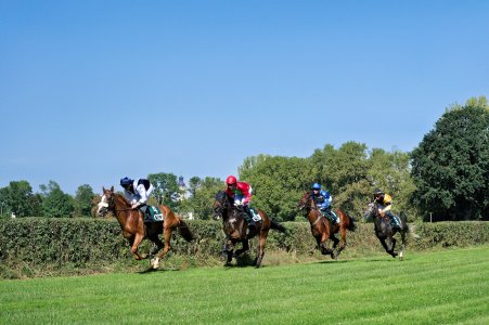 2024-09-08  SCHEIBENHOLZ_SAM0219.jpg