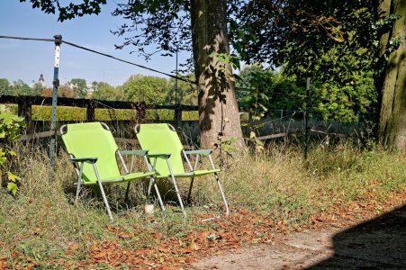 2024-09-08  SCHEIBENHOLZ_SAM0203.jpg