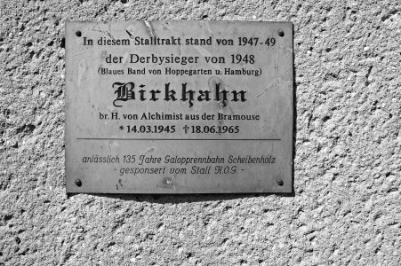 2024-09-08  SCHEIBENHOLZ_SW_SAM0197.jpg