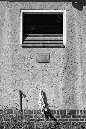 2024-09-08  SCHEIBENHOLZ_SW_SAM0199.jpg