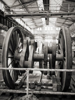 G10D8919.jpg G10D8919.jpg