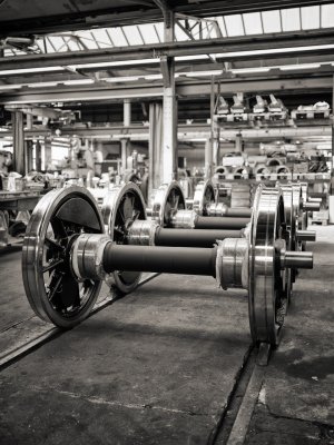 G10D8964 2.jpg G10D8964 2.jpg