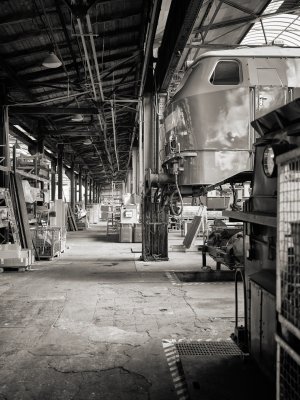 G10D8965 1.jpg G10D8965 1.jpg