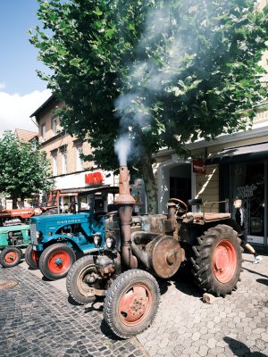 G10D7986 1.jpg G10D7986 1.jpg