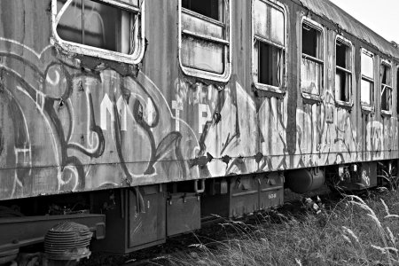 2024-09-14  ALEX  LTH-WITTENBERG_SW_DSC1869.jpg