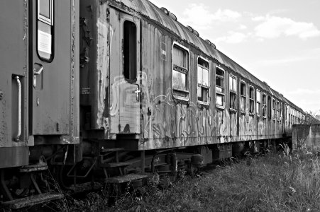 2024-09-14  ALEX  LTH-WITTENBERG_SW_DSC1888.jpg