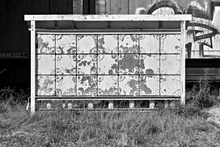 2024-09-14  ALEX  LTH-WITTENBERG_SW_DSC2041.jpg