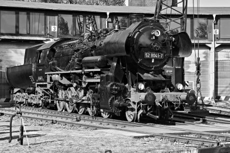 2024-09-14  ALEX  LTH-WITTENBERG_SW_DSC2163.jpg