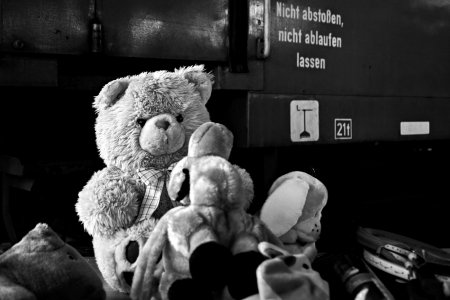 2024-09-14  ALEX  LTH-WITTENBERG_SW_DSC2262.jpg