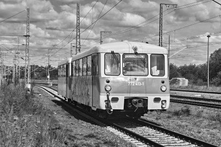 2024-09-14  ALEX  WITTENBERG  SCHWARZWEISS_DSC1795.jpg