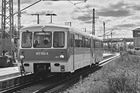 2024-09-14  ALEX  WITTENBERG  SCHWARZWEISS_DSC1804.jpg