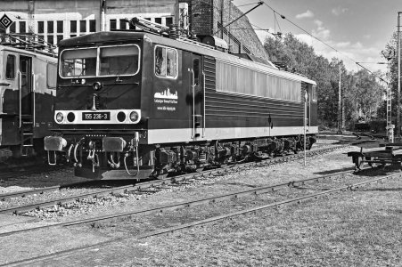 2024-09-14  ALEX  WITTENBERG  SCHWARZWEISS_DSC2086.jpg