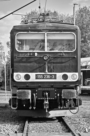 2024-09-14  ALEX  WITTENBERG  SCHWARZWEISS_DSC2216.jpg