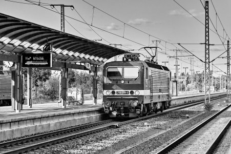 2024-09-14  ALEX  WITTENBERG  SCHWARZWEISS_DSC2285.jpg