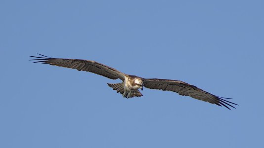 2024-09-21_EOS R7_0282_Fschadler.jpg