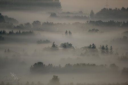 DSC_6499-Verbessert-RR_klein.jpg DSC_6499-Verbessert-RR_klein.jpg