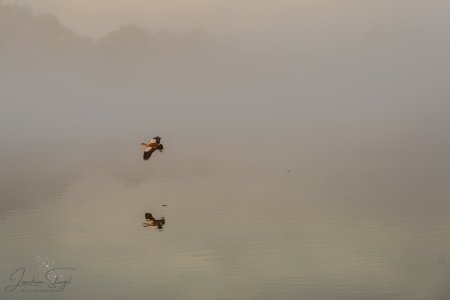 DSC_6514-Verbessert-RR_klein.jpg DSC_6514-Verbessert-RR_klein.jpg