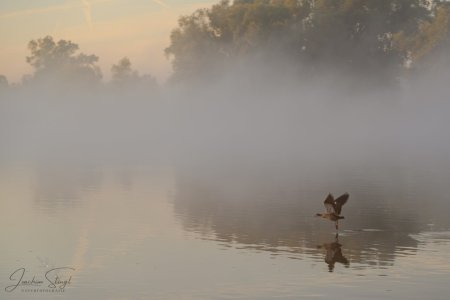 DSC_6519-Verbessert-RR_klein.jpg DSC_6519-Verbessert-RR_klein.jpg