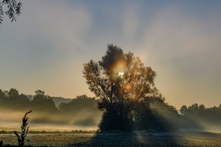 DSC_6534-Verbessert-RR_klein.jpg DSC_6534-Verbessert-RR_klein.jpg