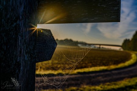 DSC_6553-Verbessert-RR_klein.jpg DSC_6553-Verbessert-RR_klein.jpg