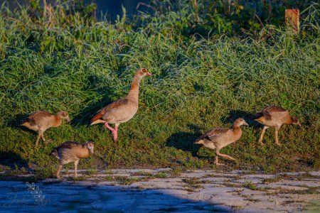 DSC_6575-Verbessert-RR_klein.jpg DSC_6575-Verbessert-RR_klein.jpg