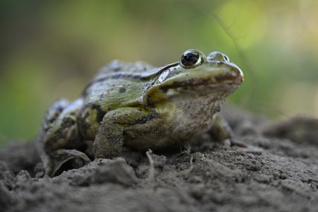 _EH70431a.jpg _EH70431a.jpg