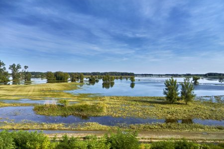 2024-09-23  ELBE  WITTENBERG_DSC1573.jpg