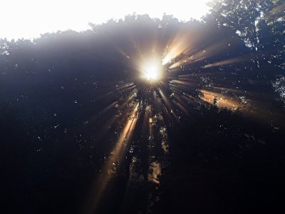 P9134800_ji_c.jpg P9134800_ji_c.jpg