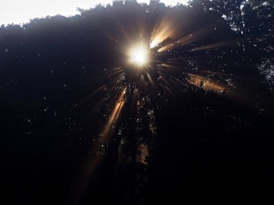 P9134802_ji_c.jpg P9134802_ji_c.jpg