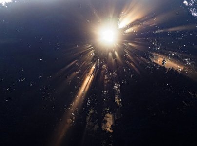 P9134803_ji_c.jpg P9134803_ji_c.jpg