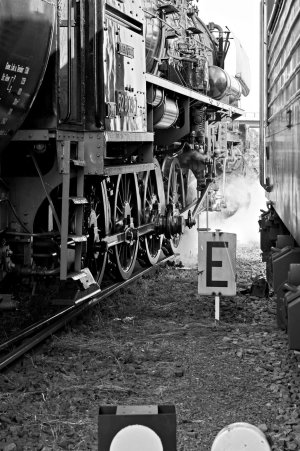 2024-09-20  LDK  RANGIER  FAHRTEN  SCHWARZWEISS_DSF0153.jpg