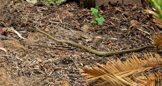 small_1500_DSC01680_jpg.jpg small_1500_DSC01680_jpg.jpg