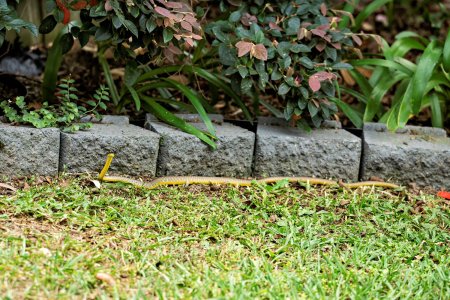 small_1500_DSC01683_jpg.jpg small_1500_DSC01683_jpg.jpg