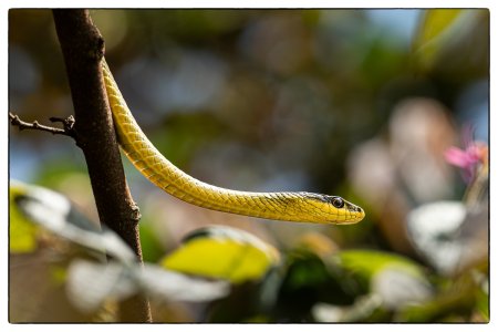 small_1500_DSC01704_jpg.jpg small_1500_DSC01704_jpg.jpg