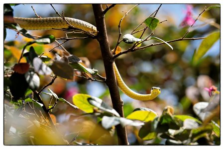 small_1500_DSC01725_jpg.jpg small_1500_DSC01725_jpg.jpg