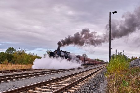 2024-09-28  DR 52 8079-7  KNAUTHAIN  FARBE_DSF8545.jpg