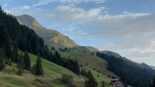 20240908_075123.jpg 20240908_075123.jpg