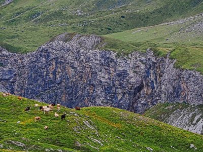 P1014448_ji.jpg P1014448_ji.jpg