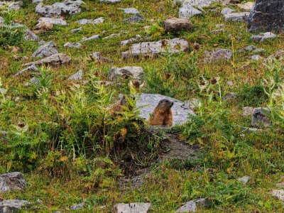 P1014457_ji.jpg P1014457_ji.jpg