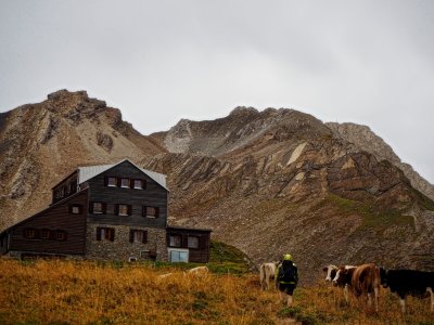 P1014467_ji.jpg P1014467_ji.jpg