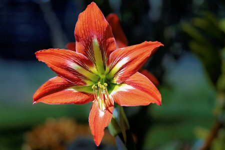 small_1500_DSC01954.jpg small_1500_DSC01954.jpg