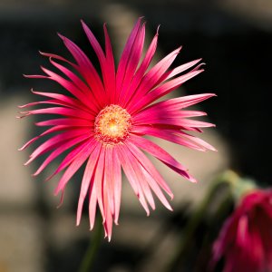 small_1500_DSC01964.jpg small_1500_DSC01964.jpg