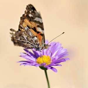 small_1500_DSC01978.jpg small_1500_DSC01978.jpg