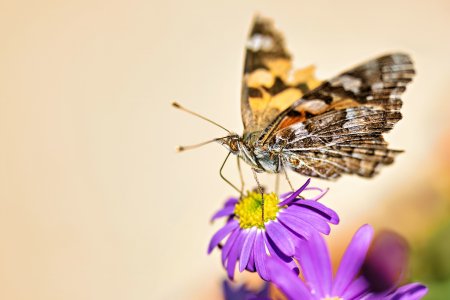 small_1500_DSC01995.jpg small_1500_DSC01995.jpg