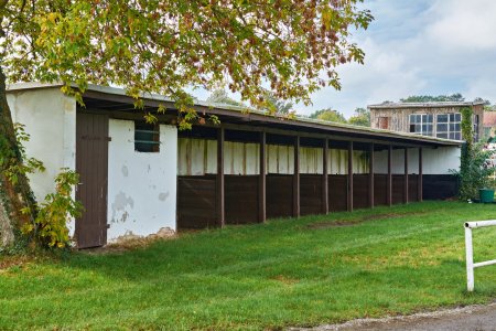 2024-10-06  RENNTAG  SCHEIBENHOLZ_DSC0267.jpg