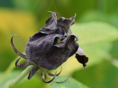 DSC_0644.JPG DSC_0644.JPG