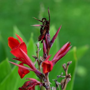 DSC_0646_01.JPG DSC_0646_01.JPG