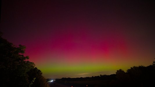 0377_2024-10-10_EOS R6_0377.jpg