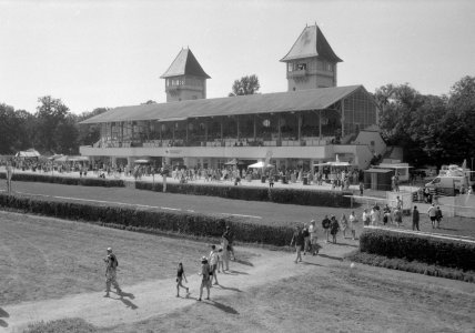 CANONET_QL17  SCHEIBENHOLZ_0005_WEB.jpg